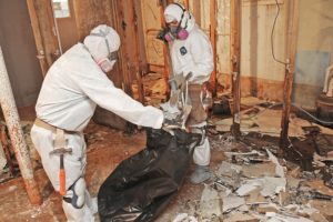 mold-and-mildew removal