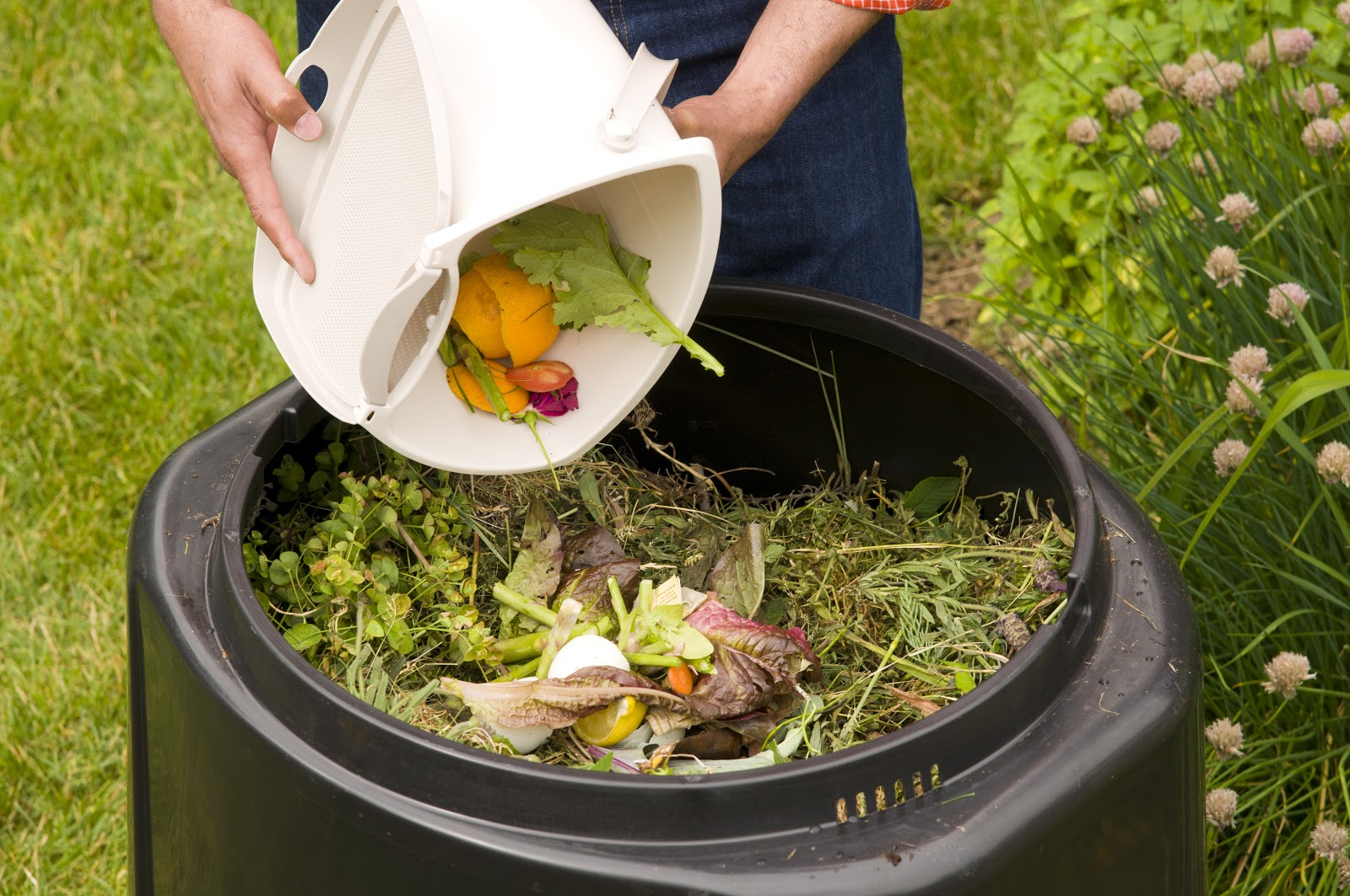backyard composting items