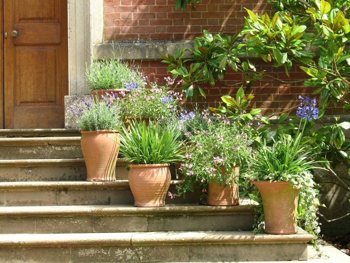 potted plants easy landscaping