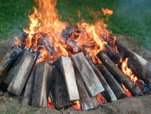 remove tree stump by burning