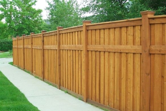 How to Best Maintain Your Wooden Fence