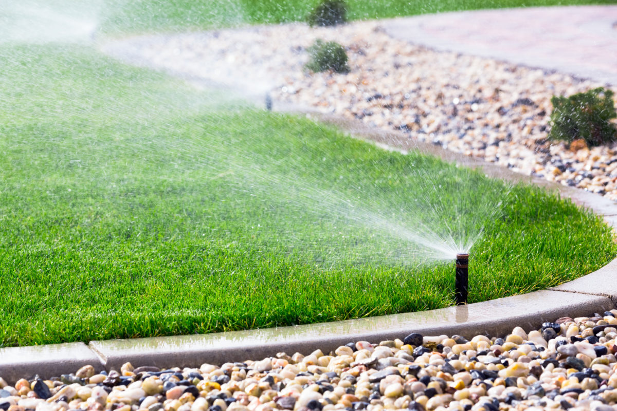 water lawn, sprinkler system in lawn