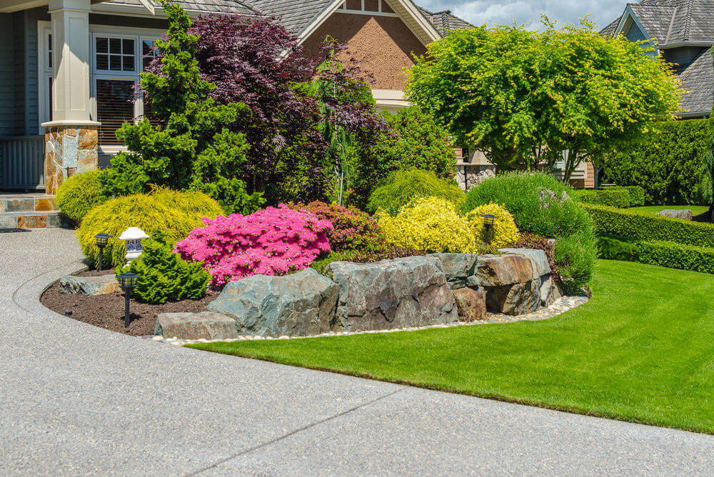 home landscaping, greenery, curb appeal