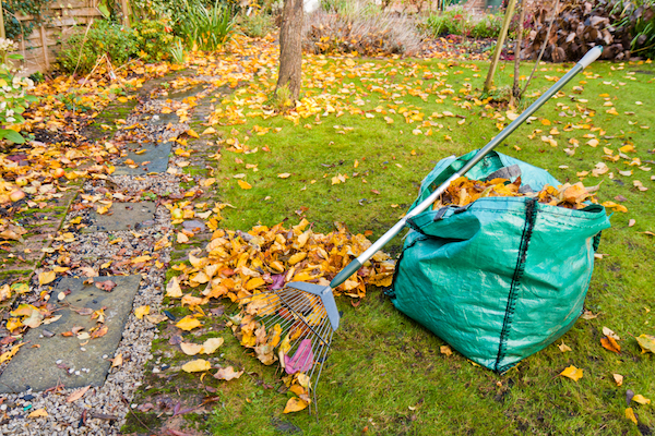 yard maintenance fall landscaping cost