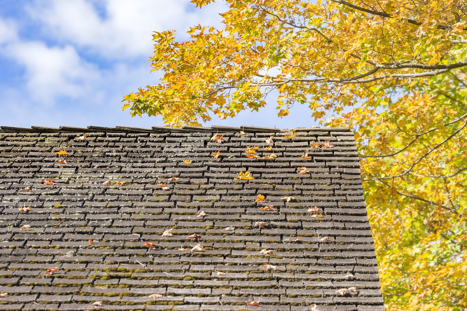 fall projects highest roi roof repairs