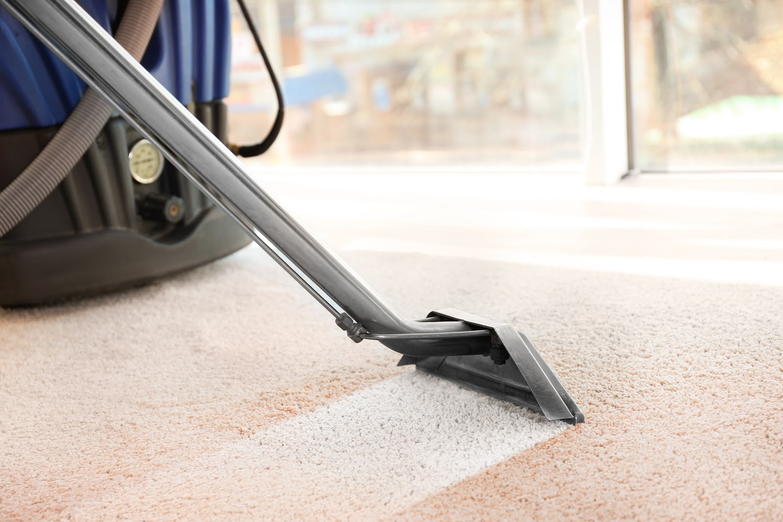 cleaning projects for fall carpet cleaning