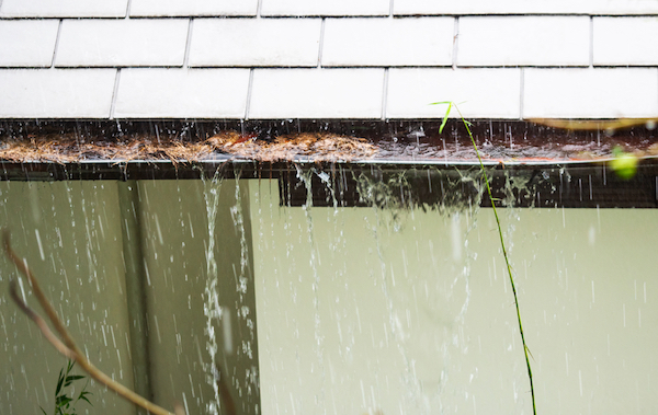 Dangers Of Not Cleaning Your Gutters roof damage