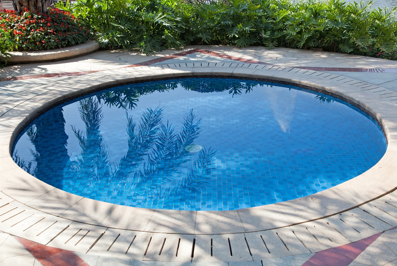 Space-Effective Designs Canadian pool trends