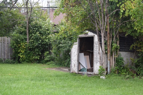 run down shed in unkempt backyard