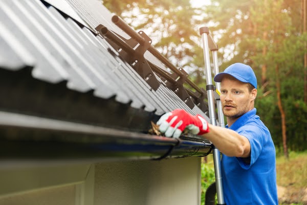 pro cleaning gutters