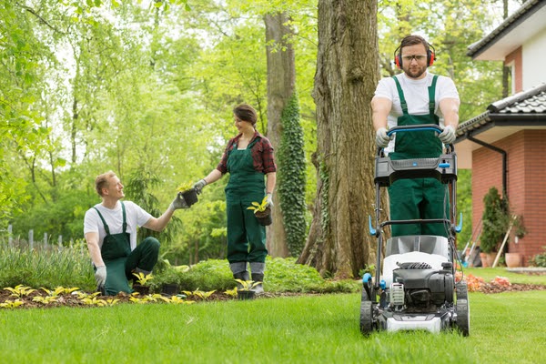 landscaping crew working in backyard