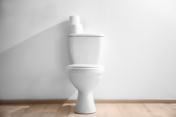 toilet with toilet paper roles 