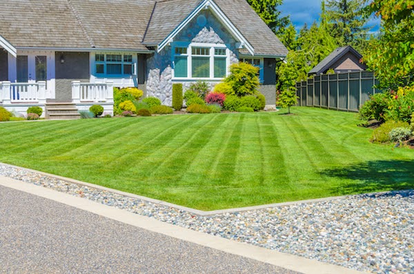 curb appeal landscaping summer project