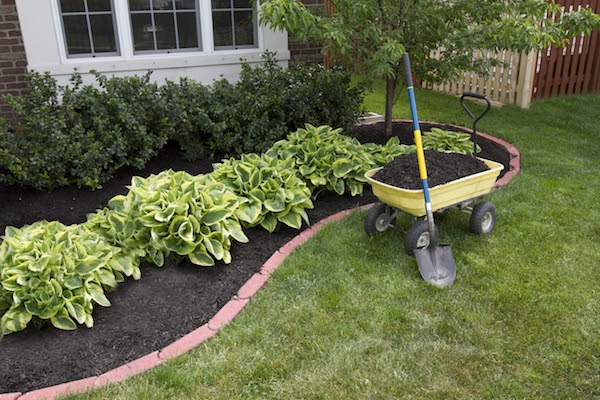 flower bed cleaned up easy curb appeal updates for spring