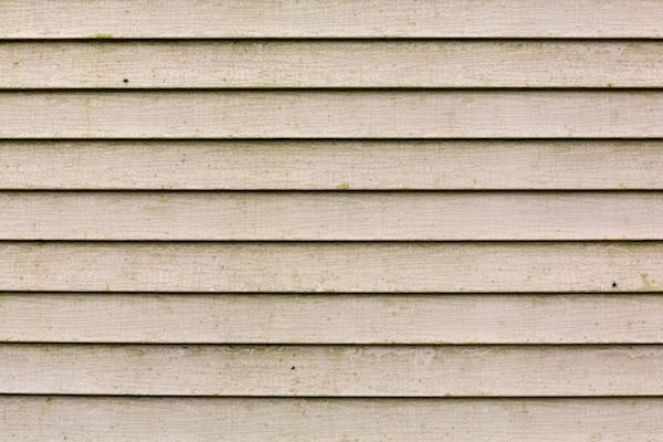 siding showing signs of rot and mold and repairs needed