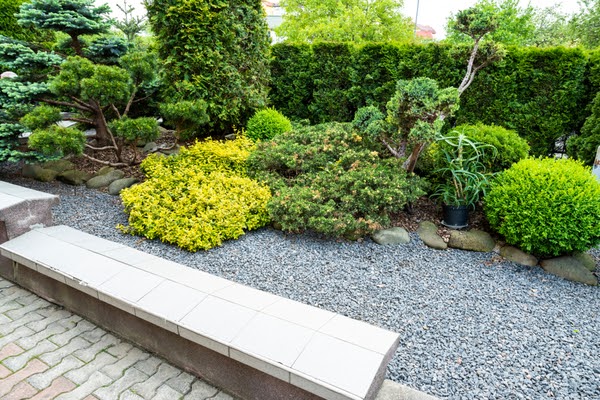 gravel yard with landscaping