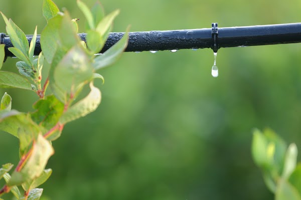 close up irrigation system