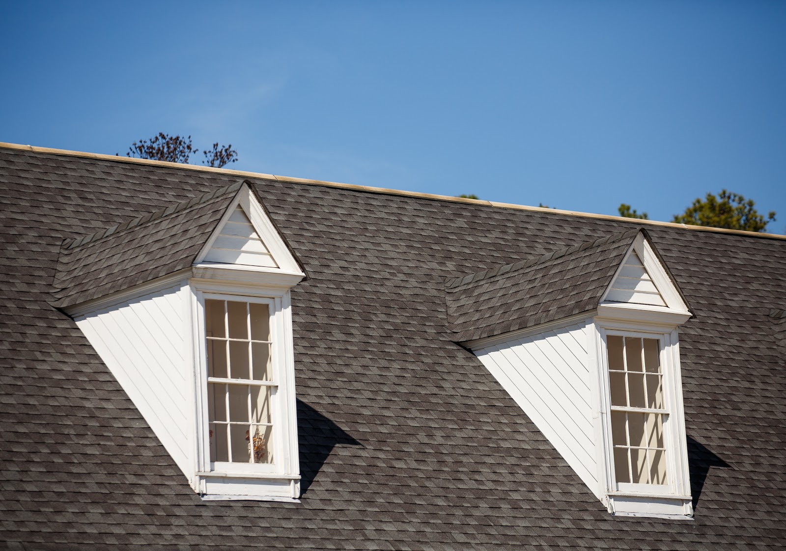 asphalt shingle roof