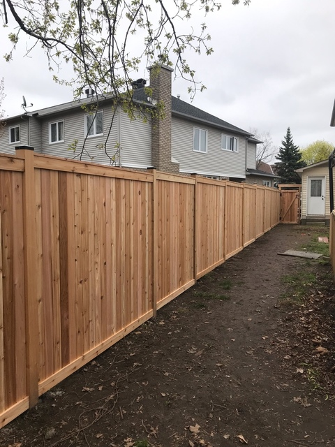 new backyard fence replacement