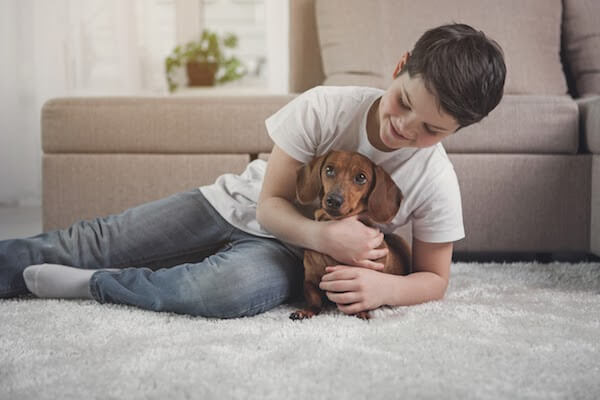 boy holds dog on basement carpet