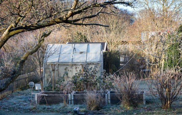 Backyard Green House in Winter