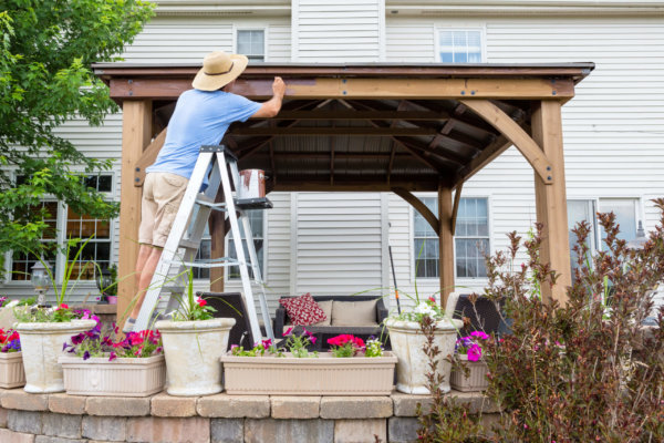 Man staining a backyard wooden gazebo behind his house standing on a ladder viewed over flowerpots on a wall on the patio