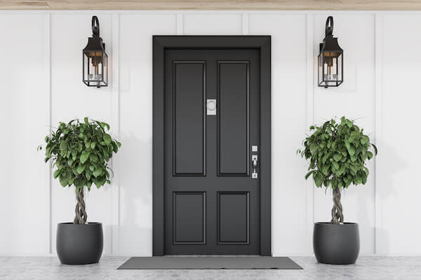 black front door with plants and lights