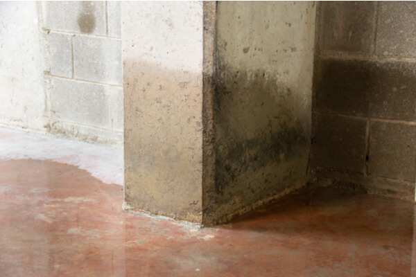 Damage to a concrete column from water in the basement