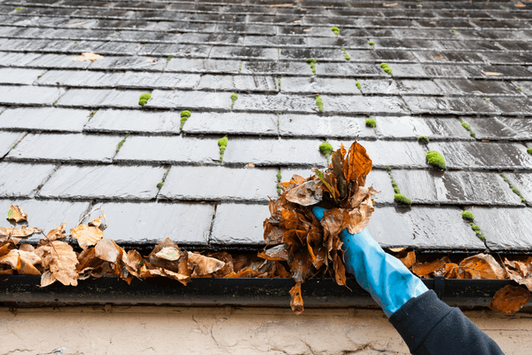 cleaning gutter clogged with leaves Eavestrough