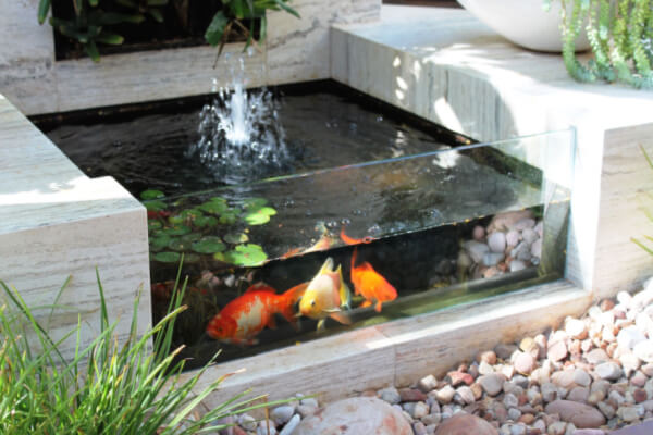 fountain with fish luxury deck