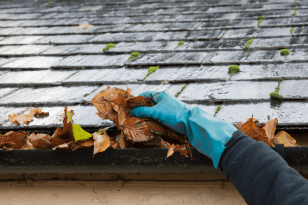 cleaning fallen leaves from eavestrough