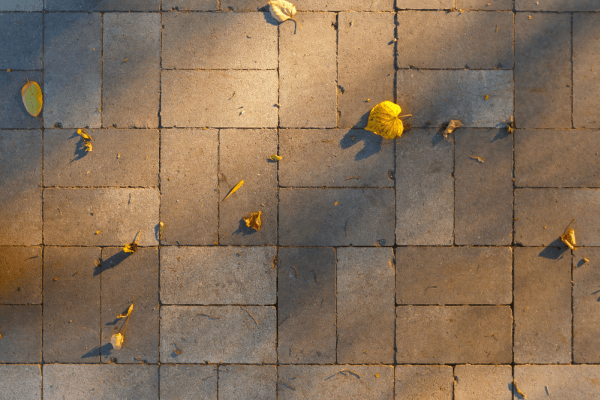 interlocking pavers fall leaves