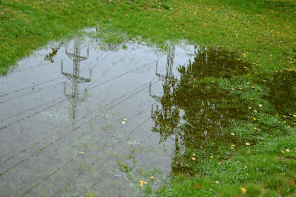pooling water backyard lawn oversaturation