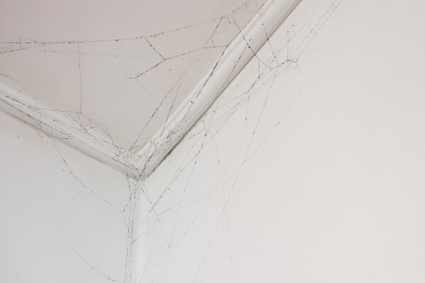 cobwebs in corner of ceiling dirty dust