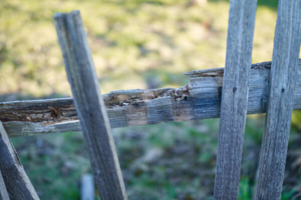 rotting wooden fence
