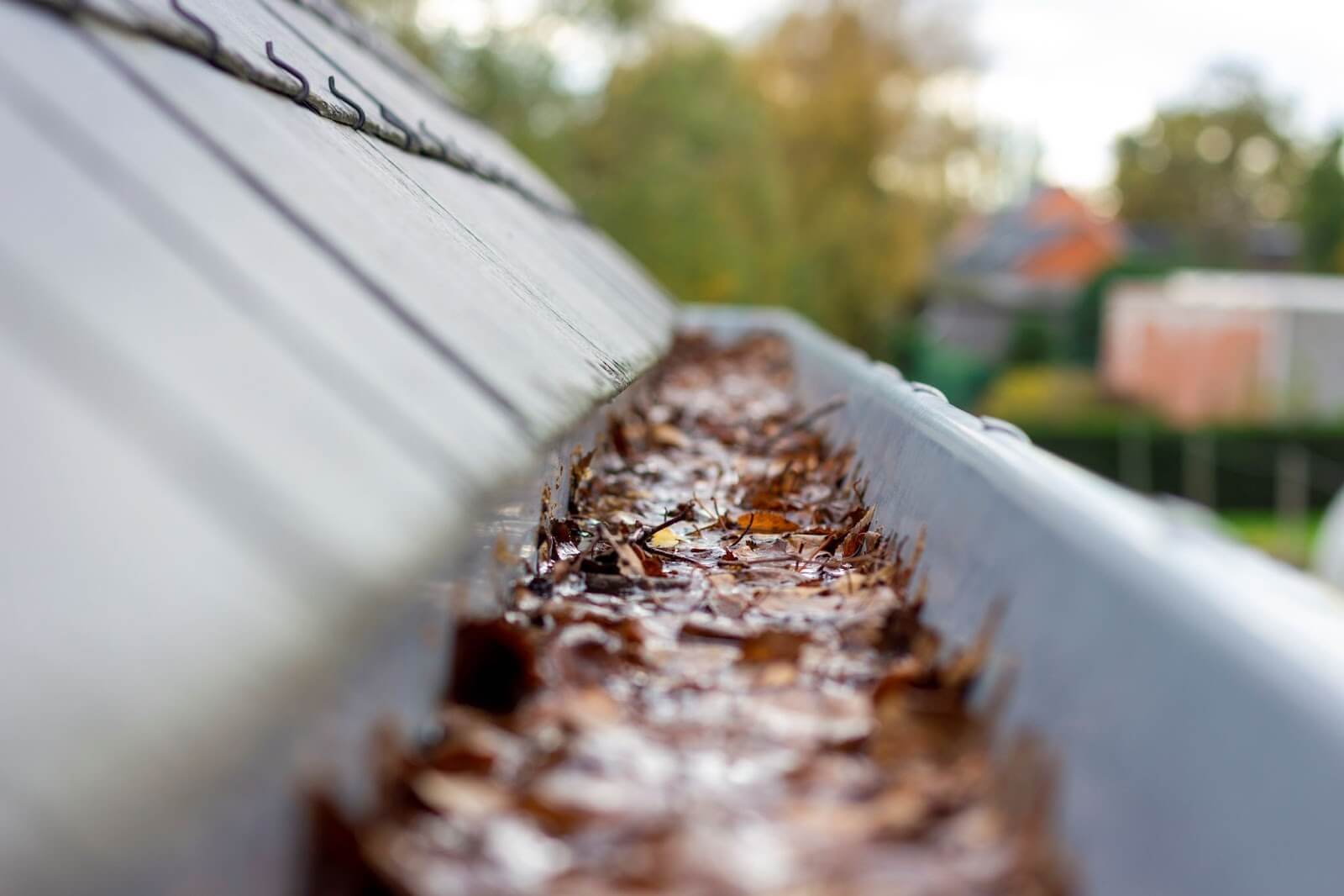 clogged gutter leaves water