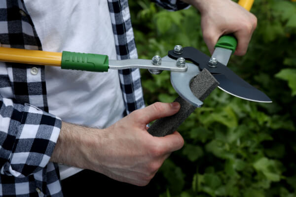 sharpening garden tool